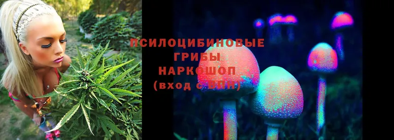 Галлюциногенные грибы Psilocybine cubensis Нефтекамск